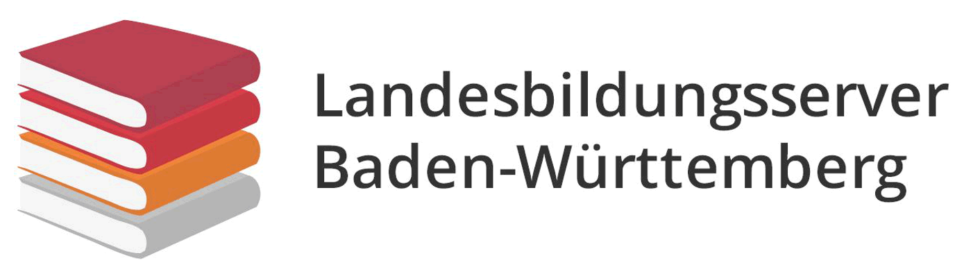 Testumfrage Evaluation Website Schwarz IT